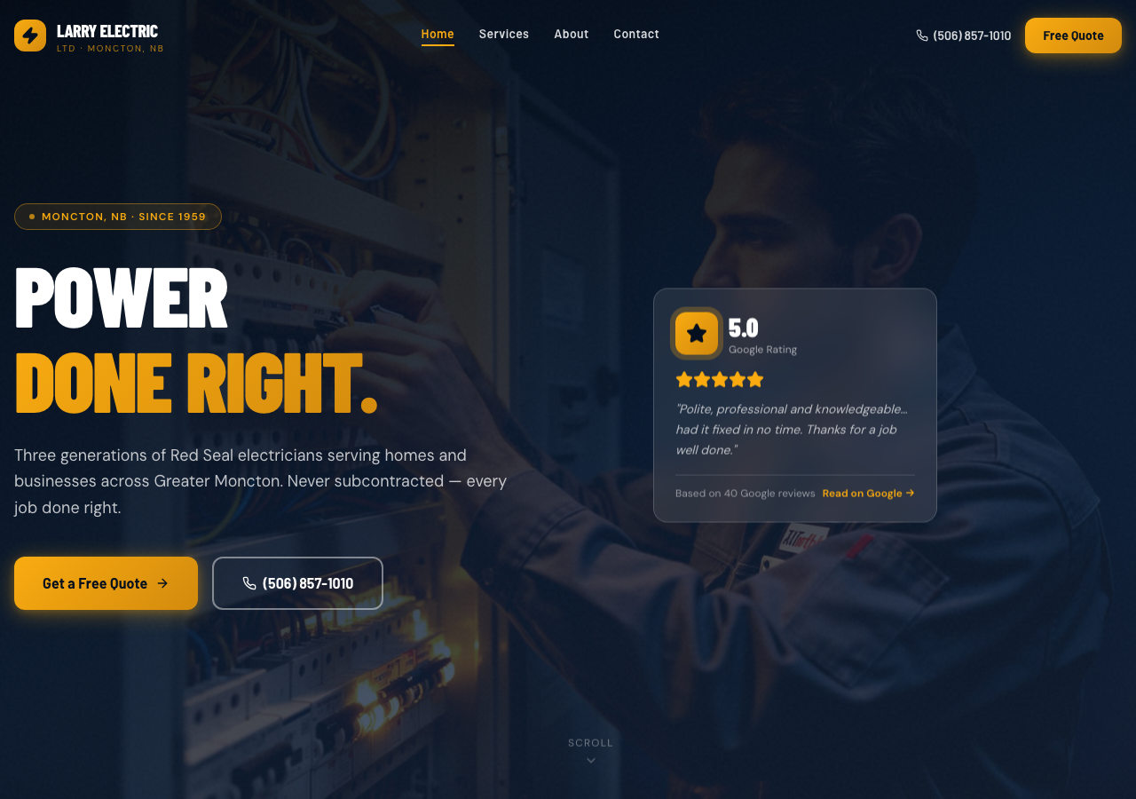 Larry Electric Ltd website preview